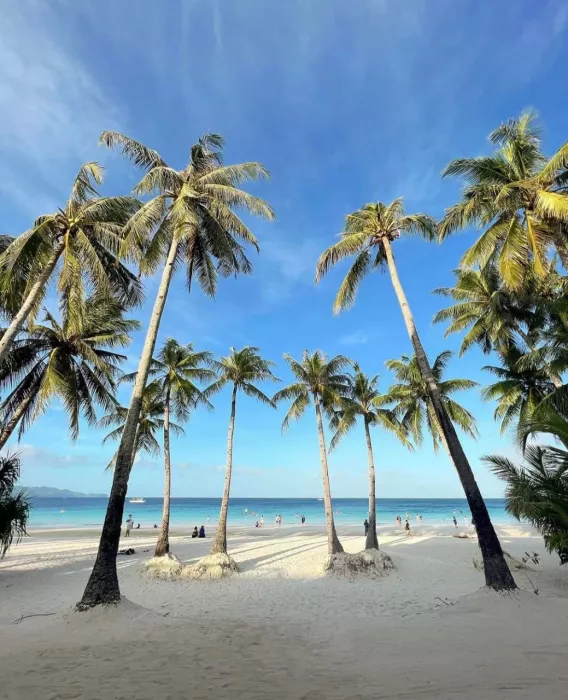 Отель «The District Boracay»