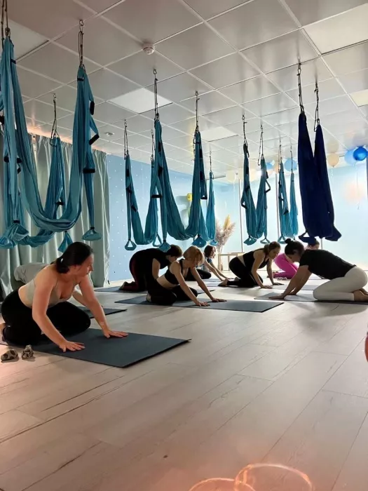 Студия Йоги «Soham Yoga»