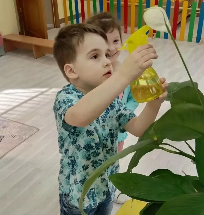 Детский сад "Ромашки"