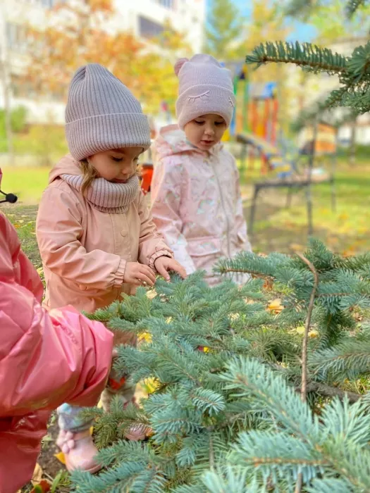 Частный детский сад "Ладушки Ладошки" на улице Восход