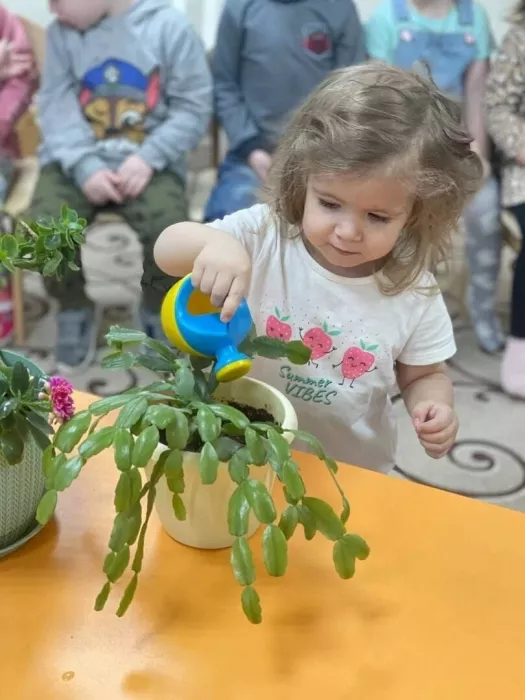 Частный детский сад "Ладушки Ладошки" на улице Восход