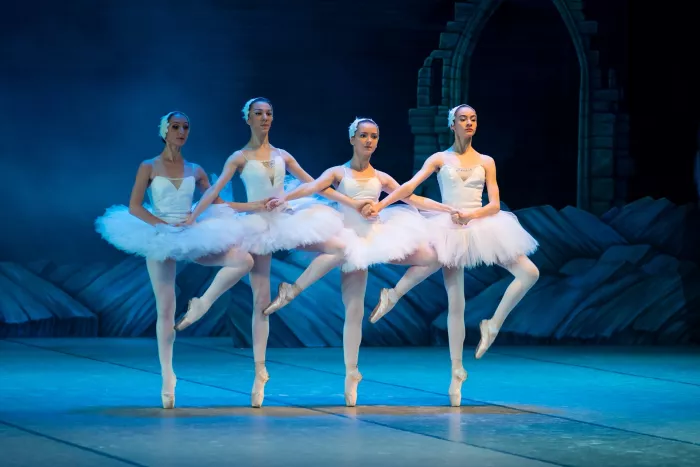 Школа танцевального искусства "Ballet Room"