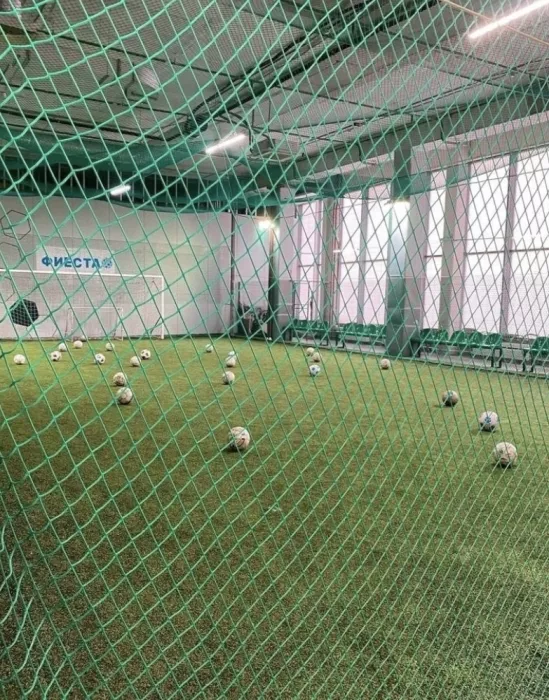 Футбольный клуб "Фиеста"