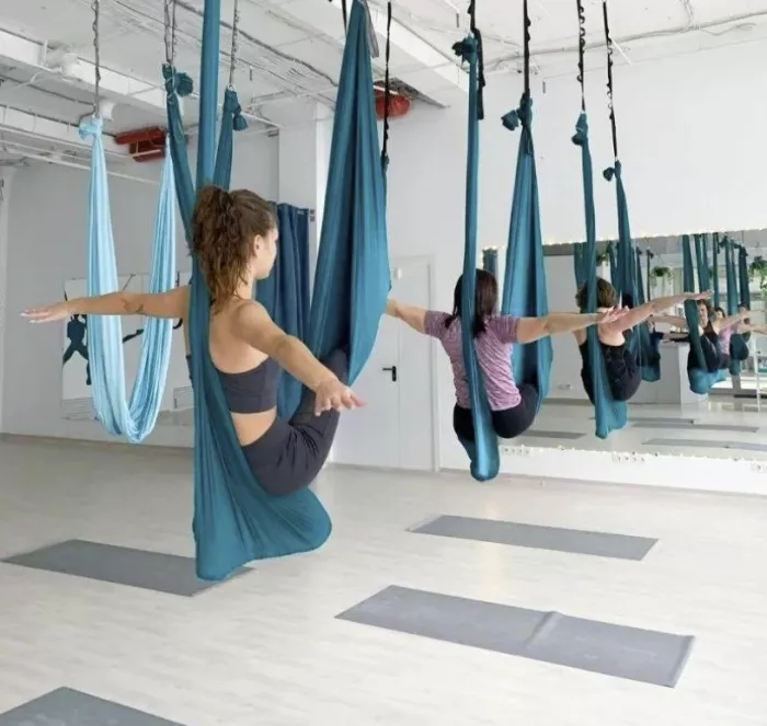 Студия аэрофитнеса "Skyfit Studio"