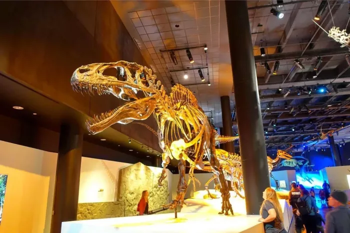 Музей «Argentino De Ciencias Naturales Bernardino Rivadavia»