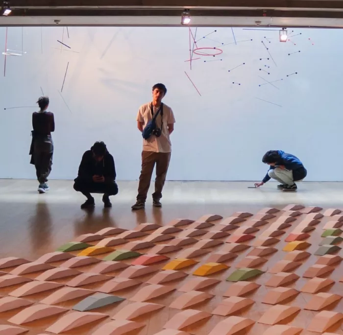 Музей «De Arte Contemporáneo De Buenos Aires»