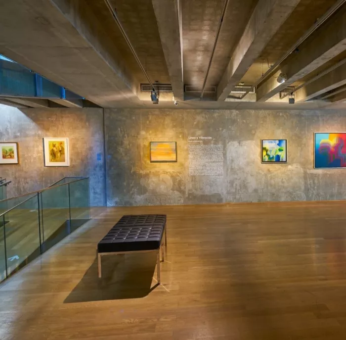 Музей «De Arte Contemporáneo De Buenos Aires»