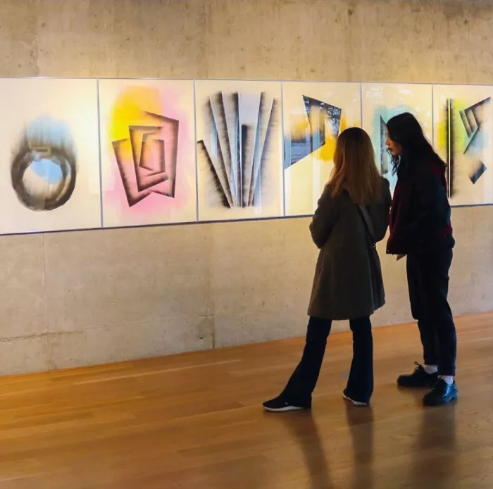 Музей «De Arte Contemporáneo De Buenos Aires»