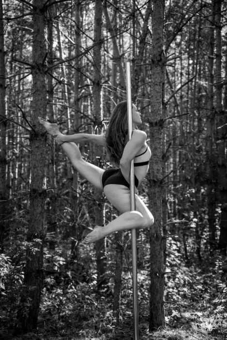 Танцевальная школа "Pole dance loft"