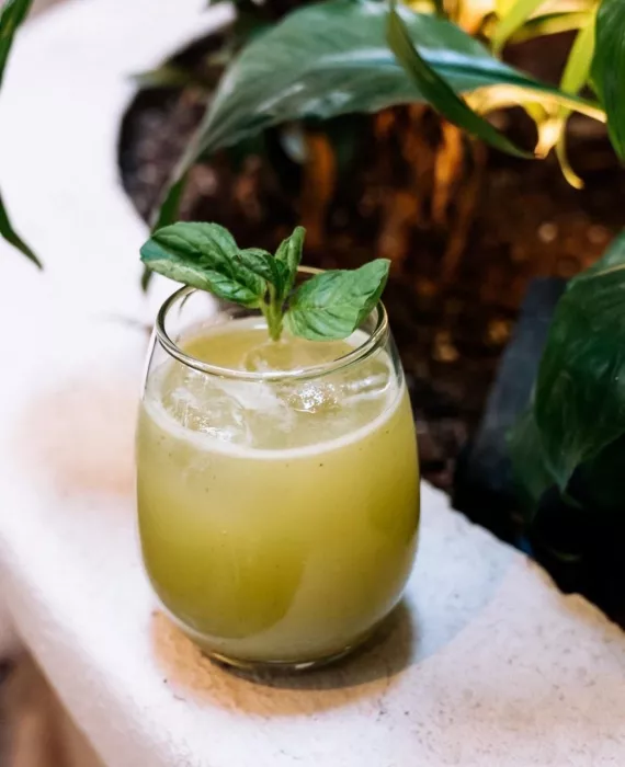 Кафе «Areca»