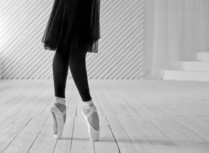 Балетная студия "Danse Classique"