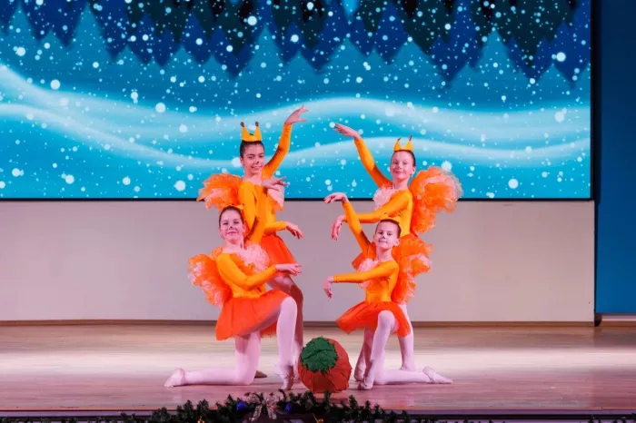 Балетная студия "Danse Classique"