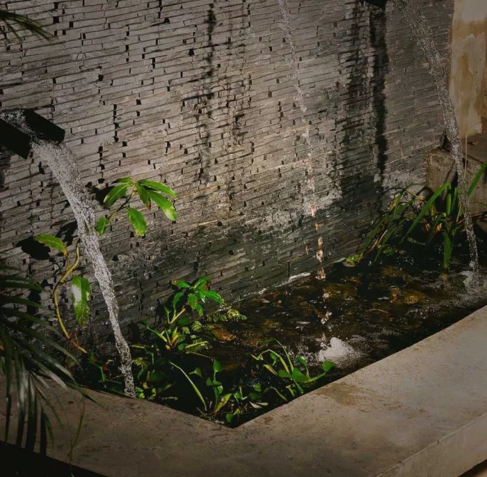 Бар «Fontana»