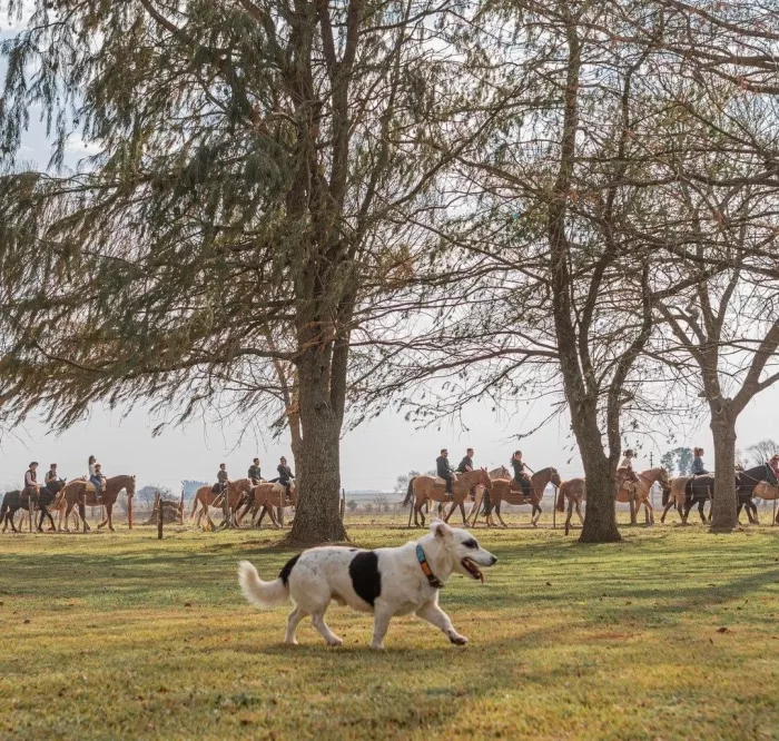 Отель «Estancia El Ombú De Areco»