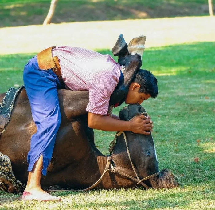 Отель «Estancia El Ombú De Areco»