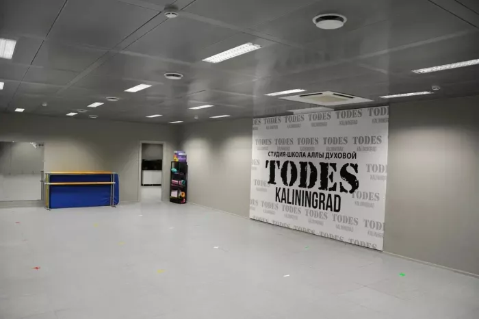 Студия-школа танцев Аллы Духовой "Todes"