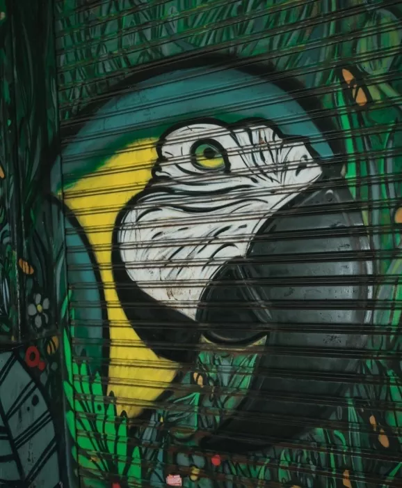 Бар «Ride Green Parrot»
