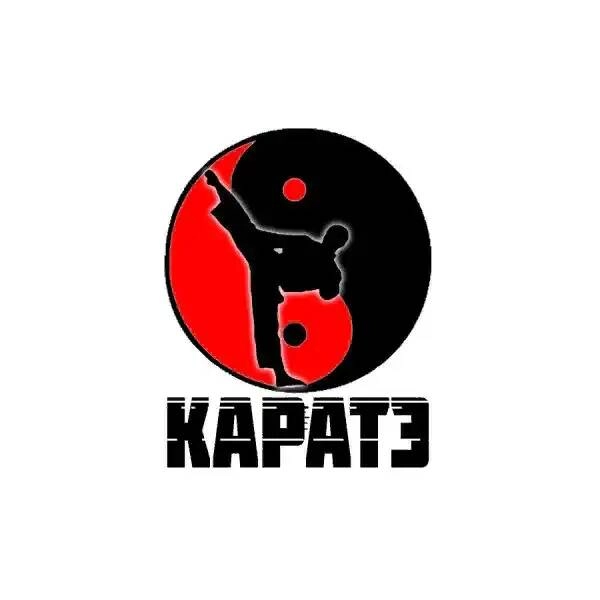 Секция киокушинкай каратэ 