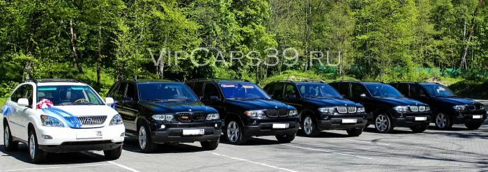 Аренда VIP-класса машин Калининград