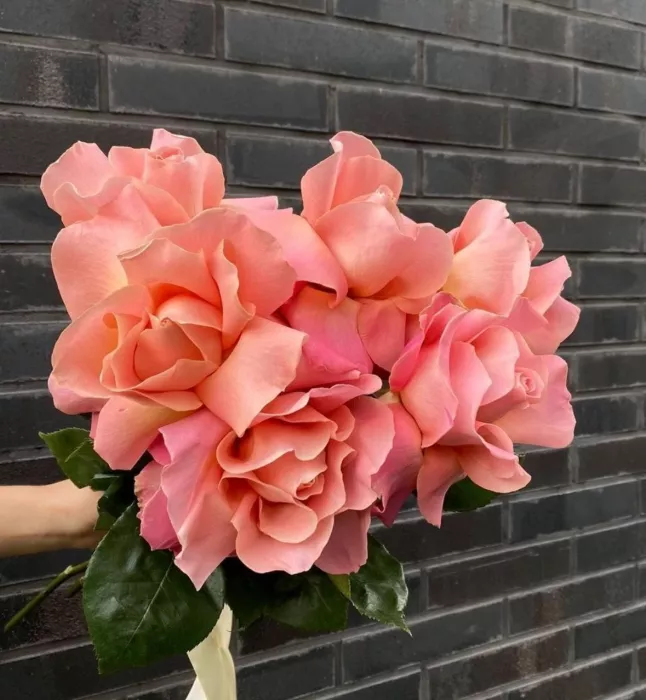 Цветочный магазин «Garden»