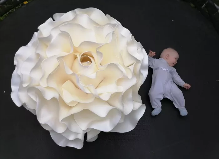 Мастерская больших цветов "lindadecor39"