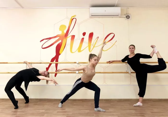 Школа танцев "Hive Dance Centre"