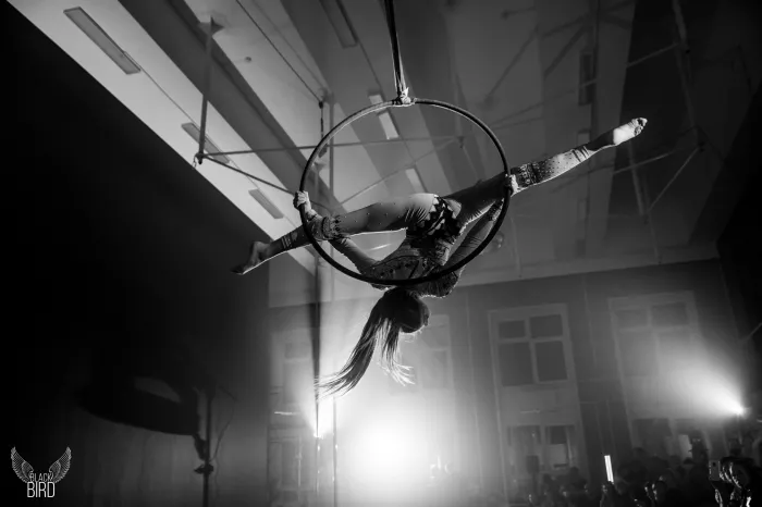 Школа танцев "Black Bird"