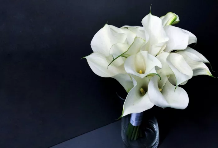 Цветочная студия «Florance»