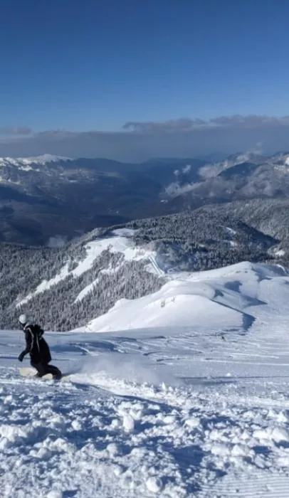 ​Компания "Горностайski".