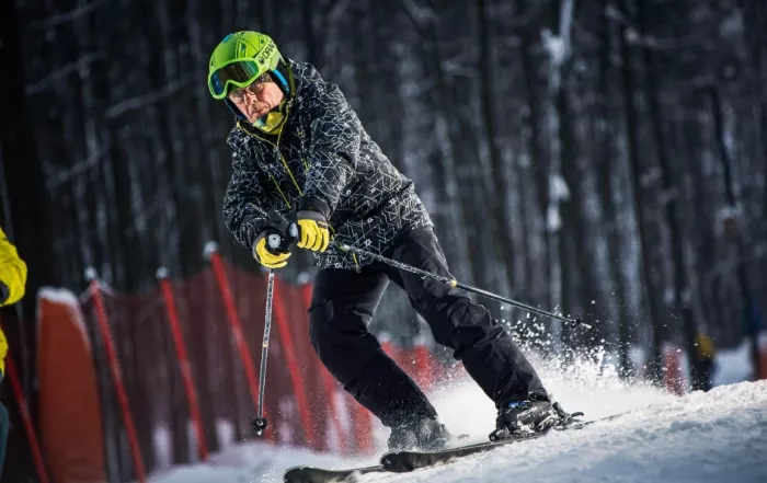​Компания "Горностайski".