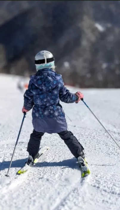 ​Компания "Горностайski".