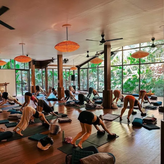 Студия Йоги «The Yoga Barn»