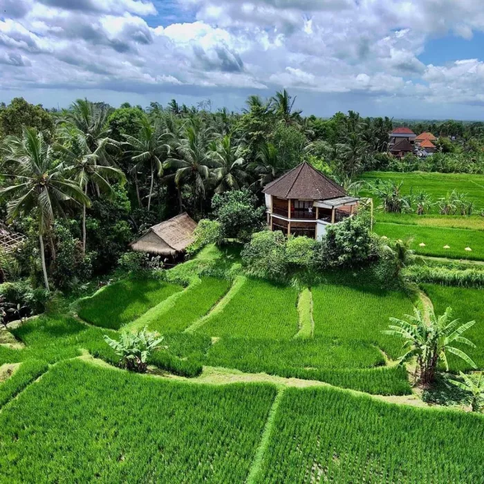 Студия Йоги «Ubud Yoga House»