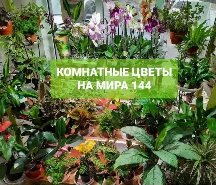 Магазин "Цветочная Поляна"
