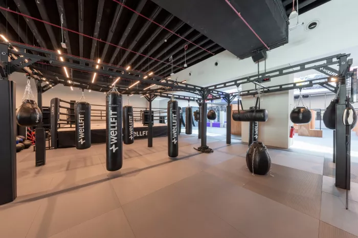 Тренажерный зал "Wellfit Meydan"