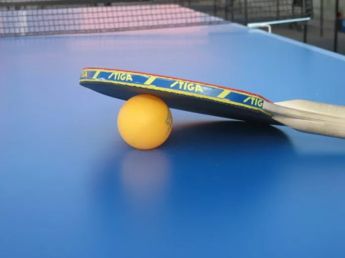 Клуб настольного тенниса "Ping Pong Land"