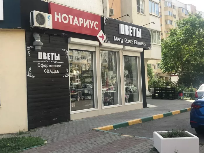 Нотариус Кунейко в Новороссийске