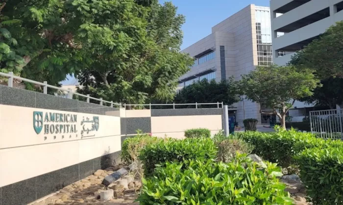 Частная больница «American Hospital Dubai»