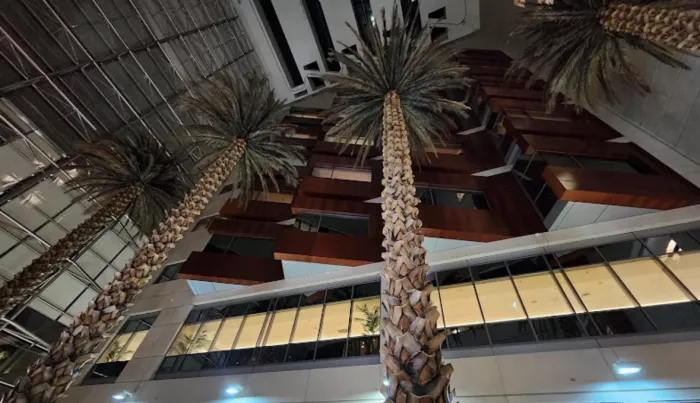 Частная больница «American Hospital Dubai»
