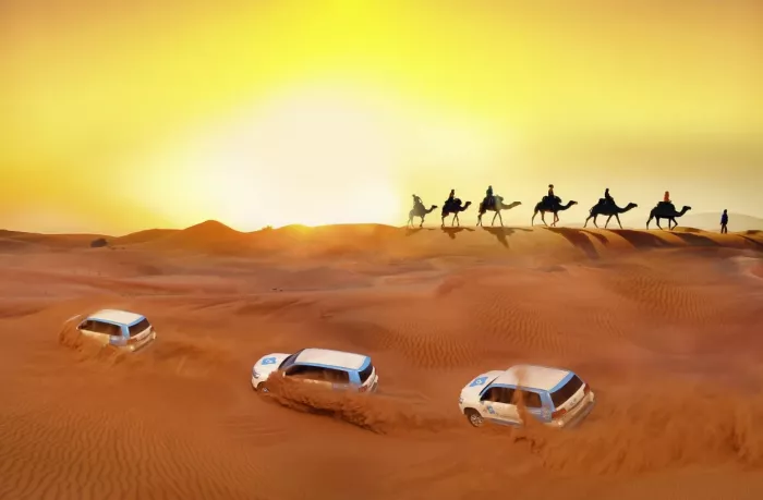 Сафари "Desert Safari"