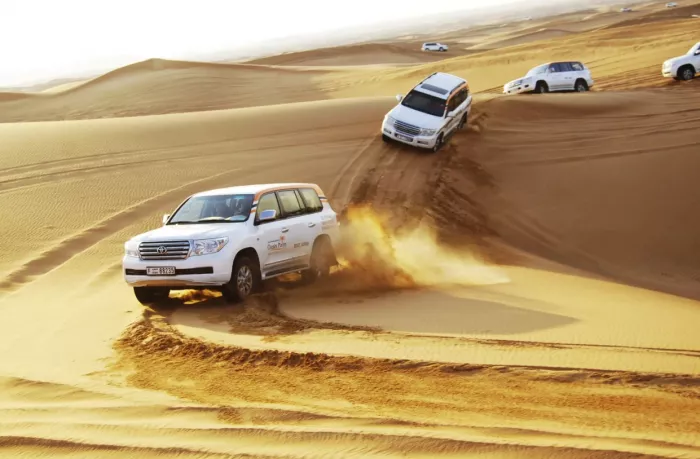Сафари "Desert Safari"