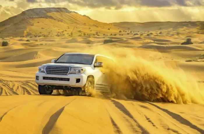 Сафари "Desert Safari"
