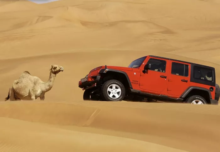 Сафари "Desert Safari"