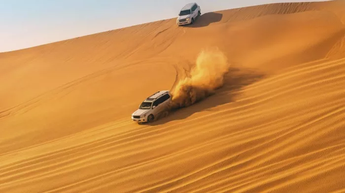 Сафари "Desert Safari"