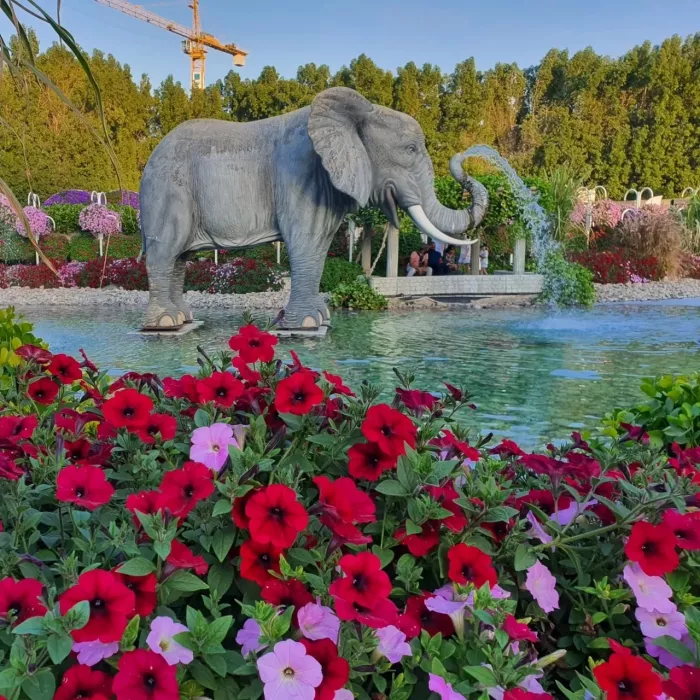 Парк "The Dubai Miracle Garden"