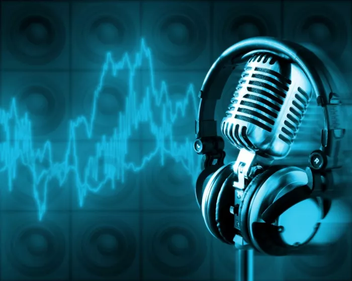 Студия Звукозаписи "Moog Records"