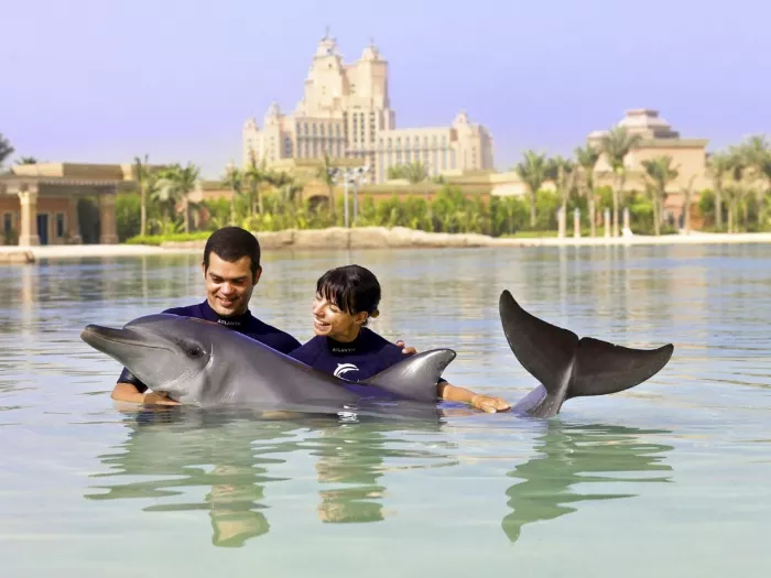Дельфинарий "Dolphin Bay"