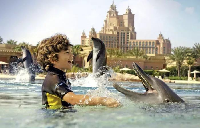 Дельфинарий "Dolphin Bay"