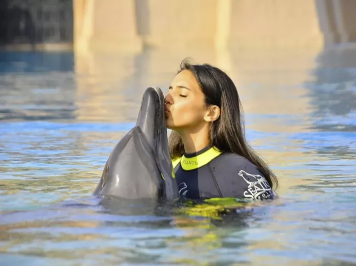 Дельфинарий "Dolphin Bay"