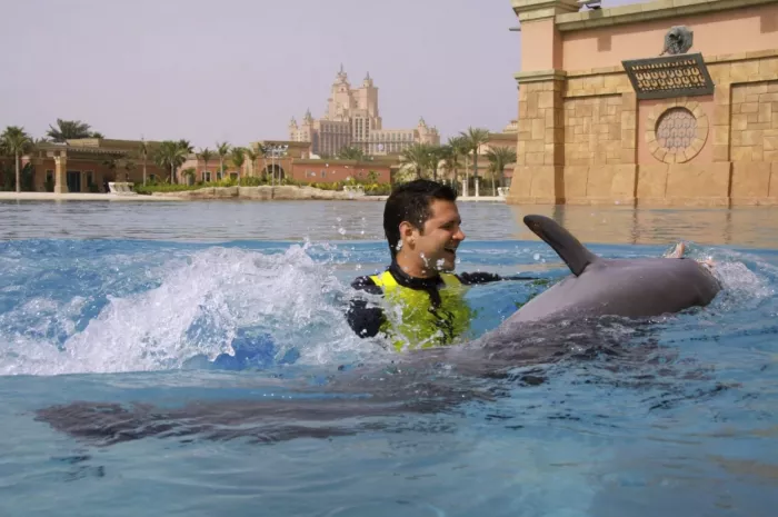 Дельфинарий "Dolphin Bay"